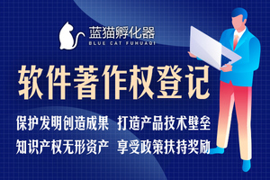 天津公司怎么申请软件著作权