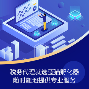 上海企业税务代理